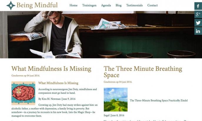 Being Mindful by Netnog websites